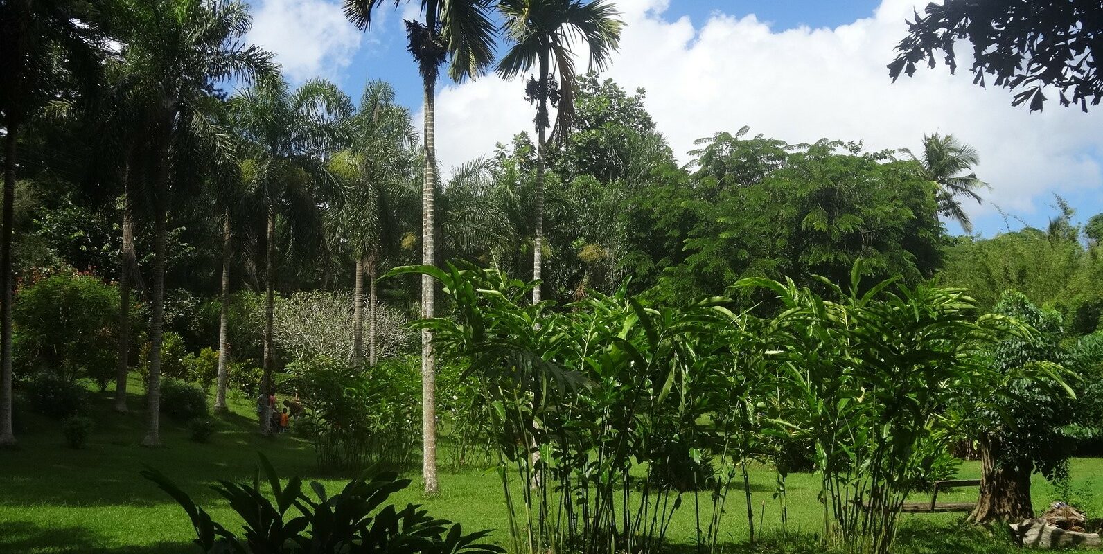Le Jardin Botanique de Coconi